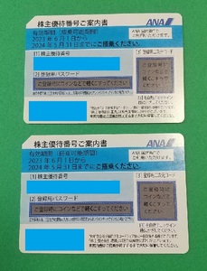 ANA 株主優待券 ２枚セット　2024年5月31日まで有効 【送料無料】