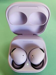 Samsung Galaxy Buds 2 PRO SM-R510 ワイヤレス イヤホン パープル【並行輸入品】