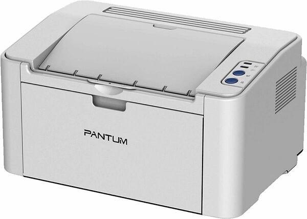 値下対象外　パンタム (PANTUM) レーザープリンター A4モノクロ P2500