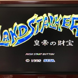 当時物 1992年 セガ 日本製 MDソフト LANDSTALKER ランドストーカー 皇帝の財宝 SEGA RPG メガドライブ レトロ 希少の画像10