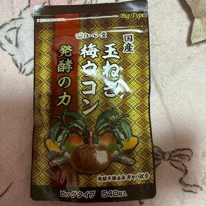 発酵の力 梅ウコン 玉ねぎ ビックタイプ５４０粒入り☆彡新品未使用品