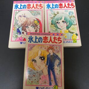 氷上の恋人たち ひだのぶこ