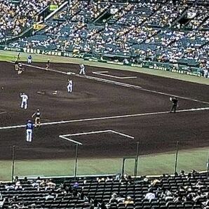 甲子園球場 4月19日（金）阪神ｖｓ中日 ３塁側 ブリーズシート 通路側連番２枚１組の画像2