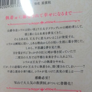 riiko「回帰したシリルの見る夢は」＋SS小冊子付きの画像2