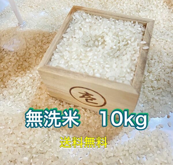 新米　お米　10kg 無洗米　米　お米　ご飯　10キロ