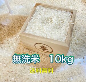 新米　お米　10kg 無洗米　米　お米　ご飯　10キロ　