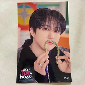 Stray Kids スキズ SKZ TOY WORLD ファンミーティング ペンミ FCくじ 参加賞 チャンビン ステッカー