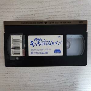 【VHS】再生確認済 パンツの穴 キラキラ星みつけた 西野妙子 浅野忠信の画像3