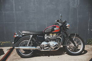  Triumph Bonneville T100