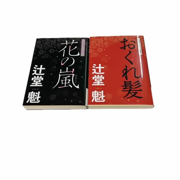 花の嵐、おくれ髪　2冊セット 傑作長編時代小説 （コスミック・時代文庫　つ１－２　吟味方与力人情控） 辻堂魁／著