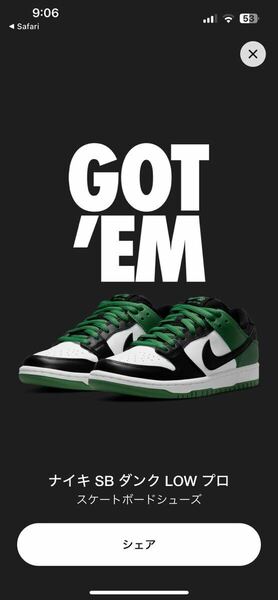 NIKE SB ダンク　Low プロ　BLACK and Classic Green