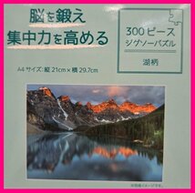 【送料無料：選べる：ジグソーパズル：3個】★300ピース：A4:21 x 30cm★（ネモフィラ柄・藤柄・湖柄）★脳トレ×想像力を鍛える”パズル_画像6