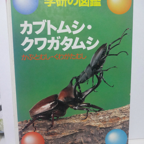 昆虫図鑑 カブトムシ・クワガタムシ 学研の図鑑 経年劣化品 カバー無しの画像1