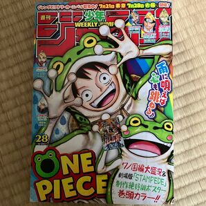 少年ジャンプ ２０１９年６月２４日号 ハイキュー　ワンピース　ボルト　約束のネバーランド　鬼滅の刃　地獄楽Dr.STONE 