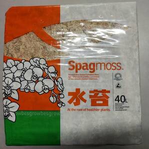 即決価格■送料無料　ニュージーランド産　圧縮　水苔　ミックス　約５００ｇ（４０L）■ミズゴケ 水ごけ 苔コケ NZ産 a