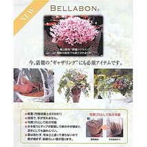 ☆送料無料 可燃ゴミ可！寄せ植え ギャザリング ブリコラージュ ヤシチップ 軽量汎用培養土『ベラボン　プレミアム ５Ｌｘ３袋セット』 _画像4