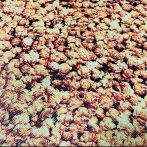 キャラメルポップコーン柄 合皮生地 フェイクレザー