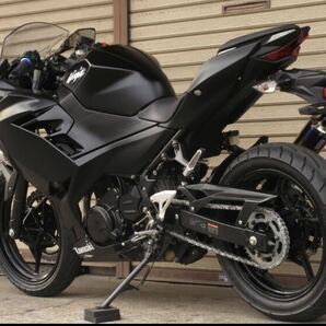 ★NINJA250 EX250P★BMSマフラー！ABSモデル！走行少ない！愛知県近隣〜発送可！ニンジャ250、Ninja250の画像4