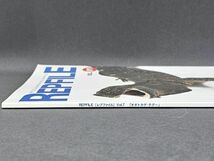 4-19-P3　レプファイル REPFILE vol.07 オオトカゲ・テグー 爬虫類 飼育 情報誌 書籍　当時物_画像3