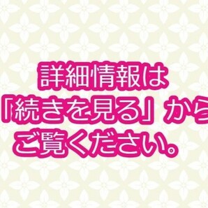 4-236-80 硯まとめて★約9㎏！！在銘 中国文房四宝 鶴 松 胡開文製 湖州 唐の画像3