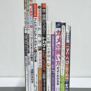 4-28-80 爬虫類・両生類書籍11冊まとめて★ビバリウムガイド・レプタイルズFan・フトアゴヒゲトカゲと暮らす本・ヘビ・リクガメ・亀などの画像8