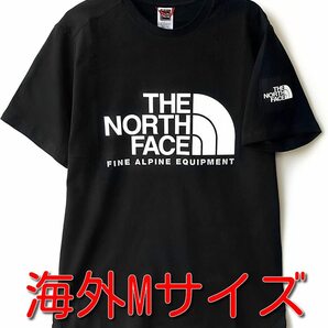新品 即決 海外M(日本L相当)サイズ ノースフェイス Tシャツ 黒 ブラック アルパイン ロゴ THE NORTH FACE Alpine Logo の画像1