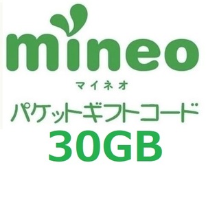 パケットギフト 9,999MB×3 (約30GB) mineo マイネオ 即決 匿名 容量相談対応