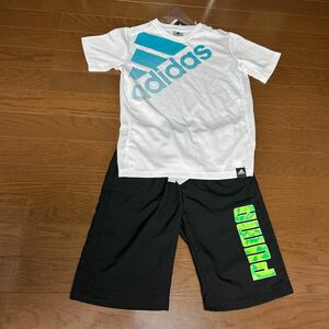 新品　アディダス　半袖Tシャツ　プーマ　 ハーフパンツ　上下セット