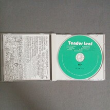 美盤　Tender Leaf CD COHI-1003_画像4