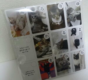 unopened . that . mochi . that ..chi-...... cat cat .. cards 