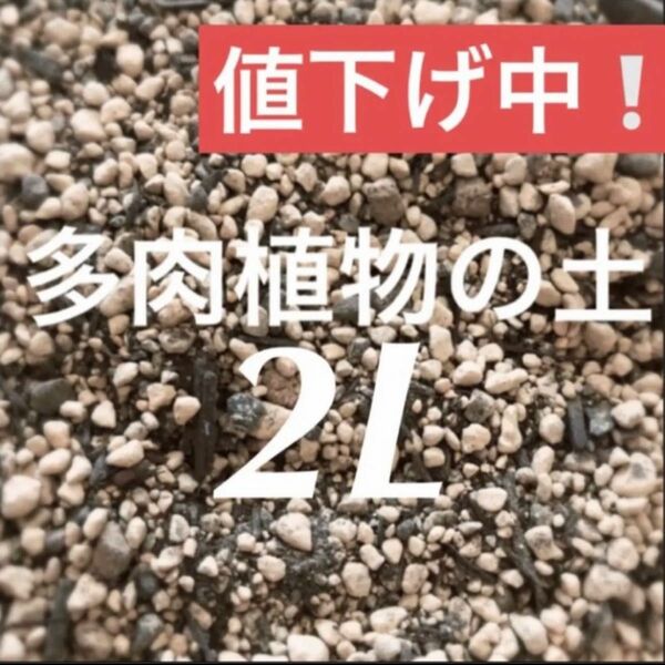 値下げ中！多肉植物　サボテンの土　約2リットル　即購入歓迎！