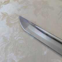 グリボリ、剣片喰の2尺4寸3分の居合刀です_画像8