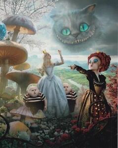 大型写真(約35.5x28cm) 　アリスインワンダーランド　Alice in Wonderland　アンハサウェイ　Anne Hathaway 　輸入　写真sb0225.