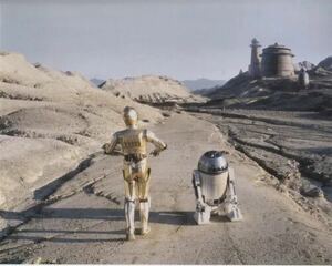 大型写真(約35.5x28cm) 　スターウォーズ　C-3PO　R2-D2　Star Wars　C-3PO　R2-D2 　輸入　写真　sb0235.