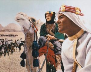 アラビアのロレンス　ピーターオトゥール　Lawrence of Arabia Peter O'Toole　約20.3x25.4cm　輸入　写真　11921