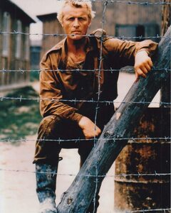 ルトガーハウアー　Rutger Hauer　輸入　写真　約20.3x25.4cm　10888