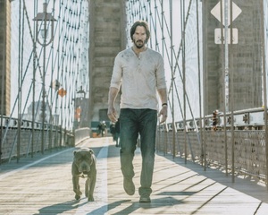 ジョンウィック　キアヌリーヴス　Keanu Reeves　映画　写真　輸入品　約20.3x25.4cm