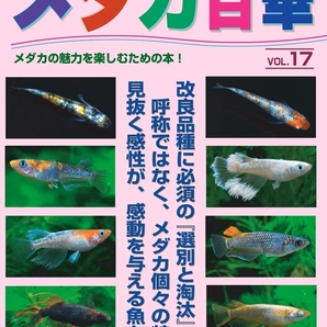 メダカ百華VOL.１7 １冊  2024年3月20日発売！  メダカ 金魚 熱帯魚 観賞魚 エビの画像1