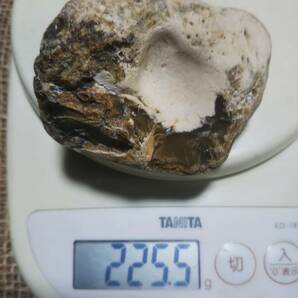 珪化木 碧玉 ジャスパー パワーストーン 化石 自然石 225.5gの画像8