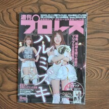 週刊プロレスNO・2236/ハルミズキ（ピンナップ有り）_画像1