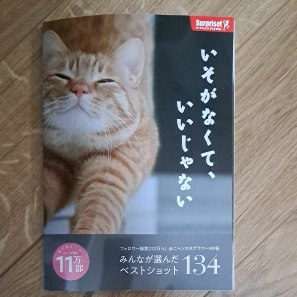 いそがなくて、いいじゃない 猫 本 雑誌