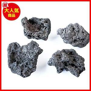 アクアリウム用 極上溶岩石 黒色 Mサイズ【AQUASHOP wasabi】 水草の活着に最適！多孔質のため水質を浄化してくれます！アヌビアス