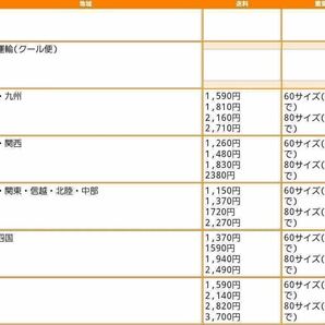 数量限定！ホルモンセット約10kgの画像6