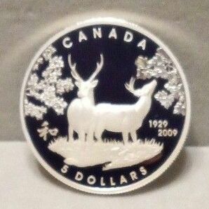 カナダ王室 記念銀貨