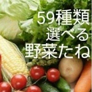 野菜種　59種類から選べる