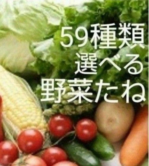 野菜種　59種類から選べる