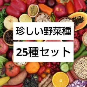 珍しい野菜の種　25種セット