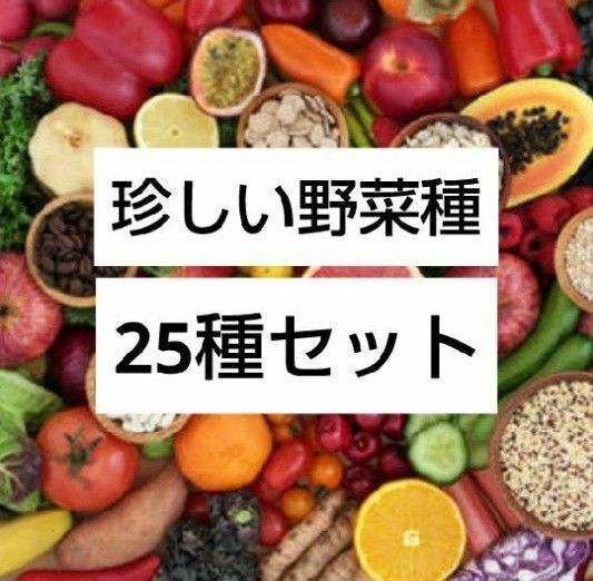 珍しい野菜の種　25種セット