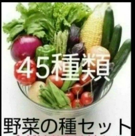45種類 野菜　種　セット