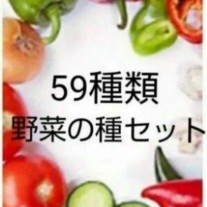 59種類 野菜 種